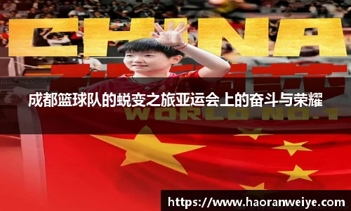 成都篮球队的蜕变之旅亚运会上的奋斗与荣耀
