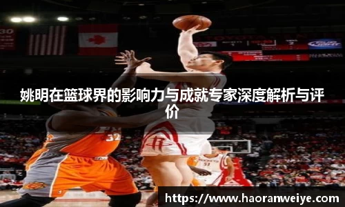姚明在篮球界的影响力与成就专家深度解析与评价